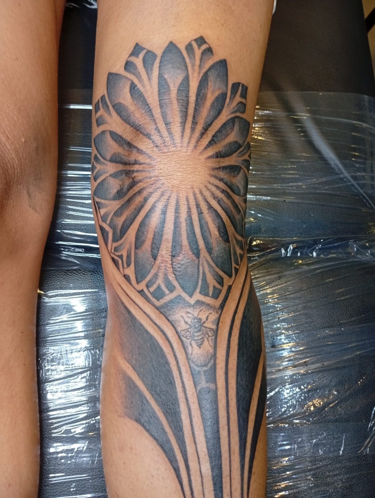 WhatsApp Image 2025-11-25 at 16.40.51 (1)